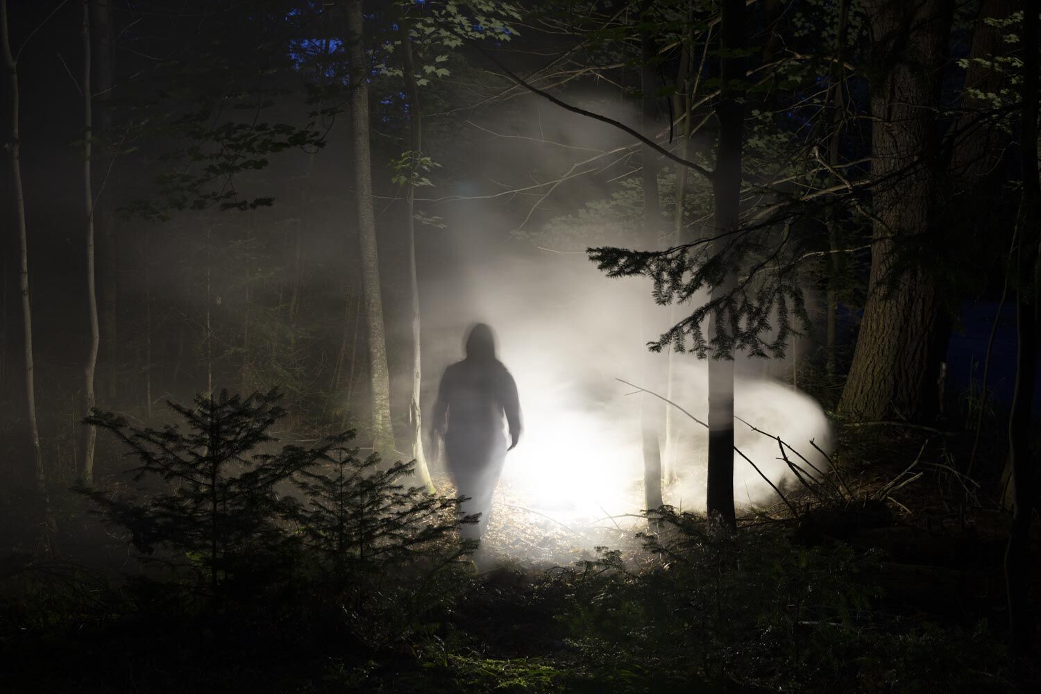 2021.09.03_Dierbeck_FE_Paranormal_SpookyWoods-3.jpg